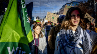Greta Thunberg bei gr&ouml;&szlig;tem Klima-Marsch in Geschichte Amsterdams