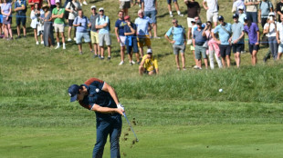 Hovland makes hole-in-one on par four in Ryder Cup practice