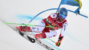 Austria's Schwarz fastest in first leg of world giant slalom