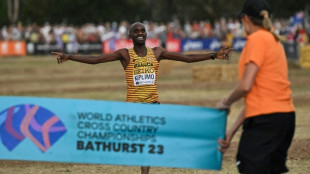 Kiplimo wins world cross country title as Gidey collapses