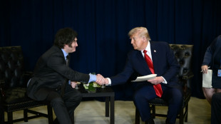 USA stellen Argentinien Finanzhilfe in Aussicht - Milei dankt für Vertrauen