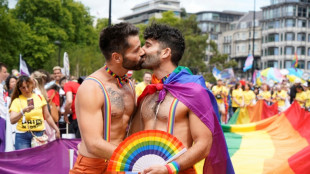 Multitud arco&iacute;ris en la Marcha del Orgullo en Londres
