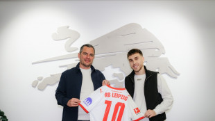 Leipzig holt Gruda aus Brighton