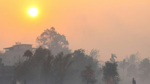 Focus turns to firms as Indonesia fire haze worsens