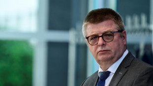 Haldenwang: AfD stellt Menschenw&uuml;rdegarantie des Grundgesetzes in Frage