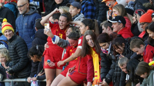 Spain reach World Cup semi-finals for first time, Japan or Sweden await