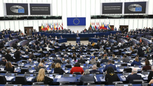 El Parlamento Europeo declar&oacute; a Rusia un pa&iacute;s "promotor del terrorismo"