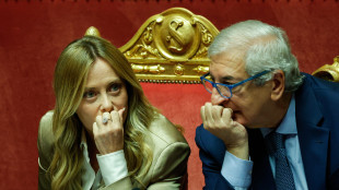 Opposizioni a La Russa, Foti in Aula sul Pnrr, essenziale raccordo con la manovra