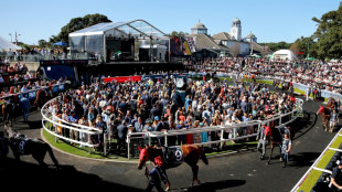 Cash boost makes Sydney's The Everest world's second-richest horse race
