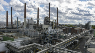 Le march&eacute; du carbone au c&oelig;ur d'un bras de fer en Europe