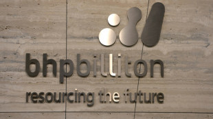 BHP augmente ses bénéfices grâce à la demande chinoise de cuivre