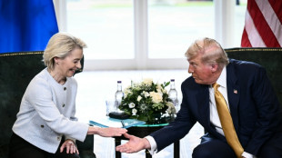 Les eurod&eacute;put&eacute;s valident l'accord commercial avec les &Eacute;tats-Unis, avec de fortes r&eacute;serves