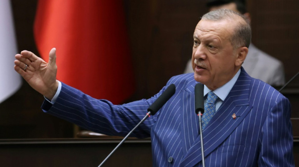 Erdogan quiere m&aacute;s que "palabras vac&iacute;as" de Suecia y Finlandia en la cumbre de la OTAN