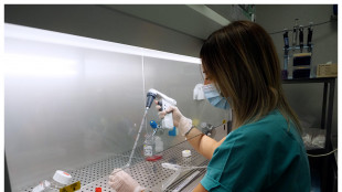 Alternativa alla terapia Car-T da cellule immunitarie modificate