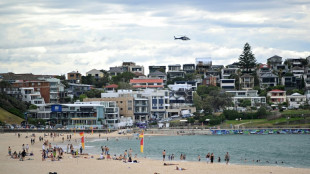 Australia refuerza el control de armas tras la matanza en la playa de Bondi
