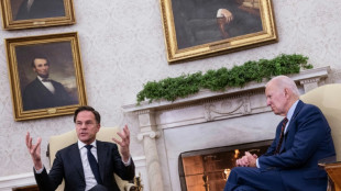 Dutch PM signals 'intention' to send Patriots to Ukraine