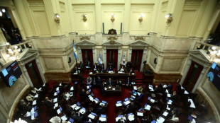 Milei obt&eacute;m primeira vit&oacute;ria no Congresso, mas precisa apresentar avan&ccedil;os econ&ocirc;micos