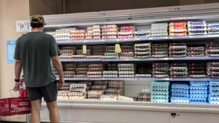 EUA informa que retirou 19 milh&otilde;es de ovos do mercado por risco letal