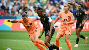 Netherlands tame South Africa to set up Spain World Cup clash