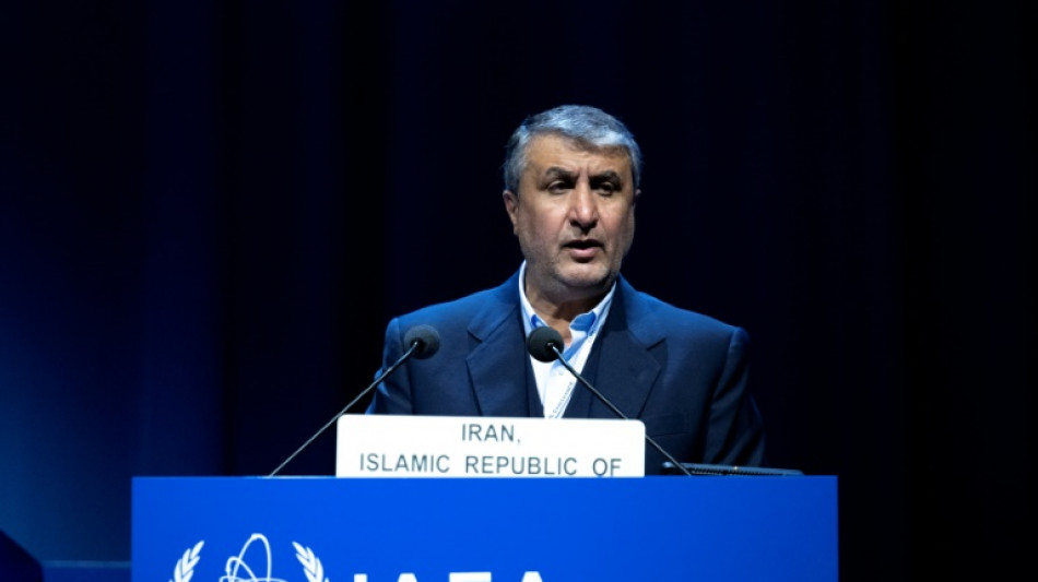 Ir&aacute;n rechaza el proyecto de resoluci&oacute;n nuclear presentado por los occidentales al OIEA