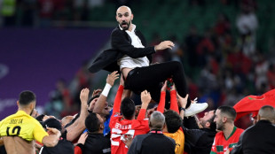 Morocco 'Rocky Balboa of this World Cup', says Regragui