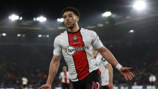 Southampton strike late to launch bid for Premier League return
