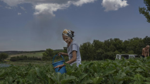 La agricultura en primera l&iacute;nea de fuego en el este de Ucrania