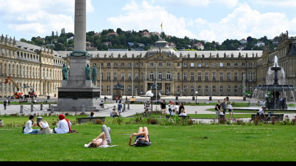 AfD in Umfrage in Baden-W&uuml;rttemberg auf Allzeithoch von 19 Prozent