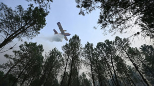 Inc&ecirc;ndios florestais n&atilde;o d&atilde;o tr&eacute;gua na Europa