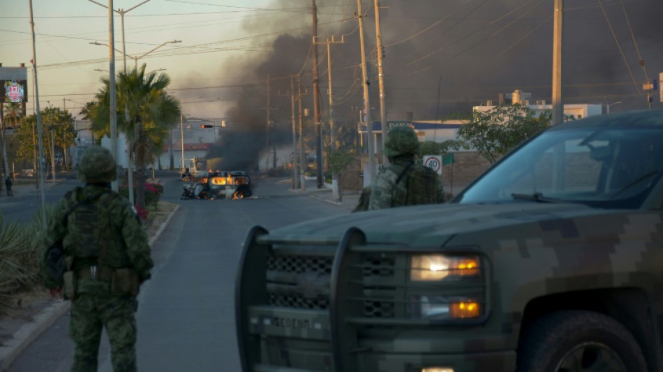 29 killed in arrest of Mexico drug kingpin's son 