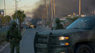 29 killed in arrest of Mexico drug kingpin's son 