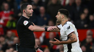 Mitrovic handed eight-game ban for pushing referee