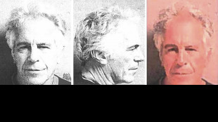 'Maxwell, non credo che Epstein sia morto suicida'