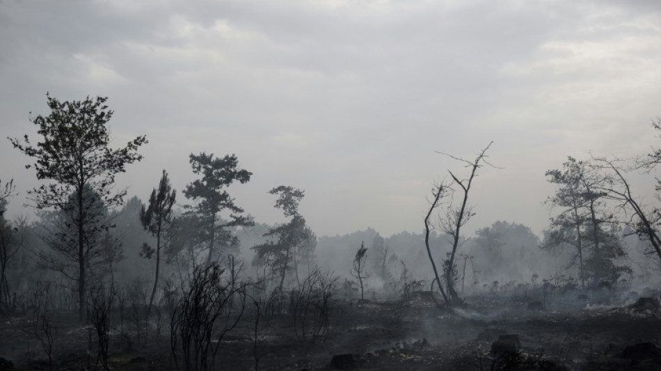 Cerca de 2.000 hect&aacute;reas calcinadas por un incendio forestal en Francia