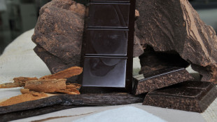 Aromi e sapori del cioccolato di Modica sotto la lente del Cnr