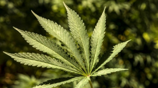 Kinder&auml;rzte verlangen besseren Jugendschutz bei geplanter Cannabis-Legalisierung