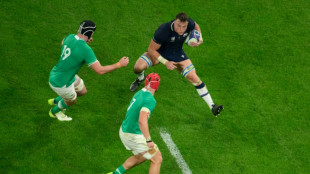 Irish lock Ryan to see specialist over wrist injury