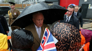 Rei Charles III celebra 77 anos decidido a continuar trabalhando, apesar de seu câncer