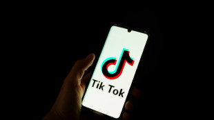 Selfies e m&uacute;sicas cativantes no TikTok, a estrat&eacute;gia da extrema direita francesa para os jovens
