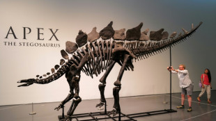 Le milliardaire am&eacute;ricain Ken Griffin a achet&eacute; le squelette de dinosaure le plus cher du monde 