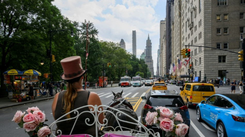 La menace plane à nouveau sur les calèches de Central Park