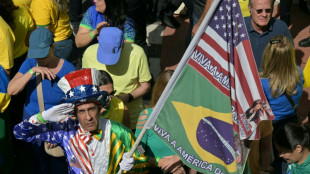 Tausende Bolsonaro-Anhänger demonstrieren in Brasilien und danken Trump