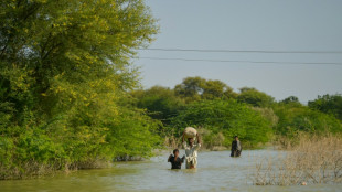 Changement climatique: le Pakistan cherche des fonds après les inondations destructrices de 2022