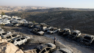 Ex&eacute;rcito israelense acusado de apoiar agress&otilde;es de colonos a palestinos na Cisjord&acirc;nia