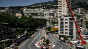 Virtuoso Verstappen grabs maiden Monaco pole with spectacular final lap&nbsp;
