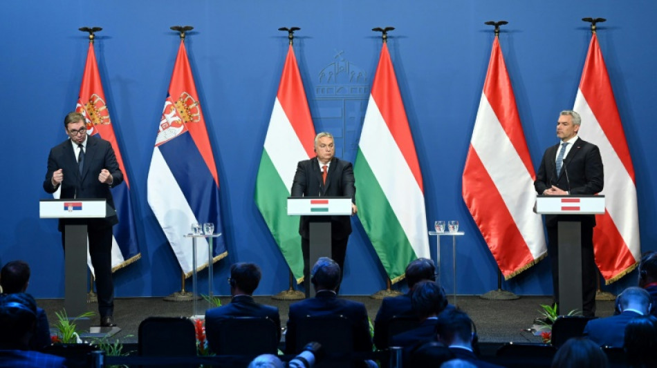 Migrationsgipfel von &Ouml;sterreich, Ungarn und Serbien 