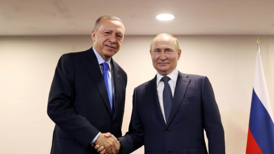 Ucrania y Siria centran la reuni&oacute;n de Erdogan y Putin en Rusia