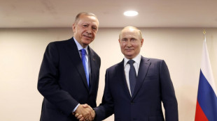 Ucrania y Siria centran la reuni&oacute;n de Erdogan y Putin en Rusia
