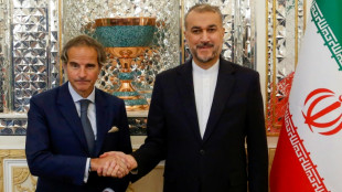 Diretor da AIEA viaja ao Ir&atilde; em meio a temor sobre programa nuclear de Teer&atilde;