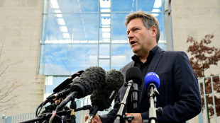 Alemania bloquea la venta a un conglomerado de China de una f&aacute;brica de semiconductores